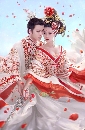 չ dvd:¹ ҧҺѧͧ 2014 The Empress Of China (Ѻ) 1 dvd-(蹷17)
