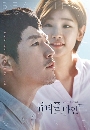 dvd ͡ 2016 Beautiful Mind  -Ѻ 4 dvd- «١ www.dvdkafe2.com