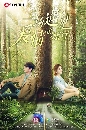 A Journey to Meet Love (2019) ԹҧҾѡ 9 dvd- ** Ѻ