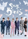 dvd ͡ 2021 Stray Birds (2021) Ѻ 8 dvd-  ** dvdkafe2.com