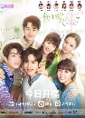 Time to Fall in Love (2022) ֧ѡº͡ Ѻ 5 dvd-