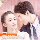 Fall in love in the book (2022) Եѡµ 2 dvd- ** Ѻ