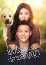 dvd - ҡ A Date With the Future (2023) ѡѭ 7 dvd- **  OST.