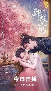 The Deliberations of Love (2023) Ҫеѡ 3 dvd- ** Ѻ