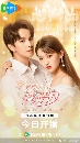 Dear Contract Boyfriend (2023) ѭѡµҧ 3 dvd- ** Ѻ