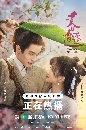 dvd Sword and Fairy 1 (2024) ӹҹ¹к Ѻ 8 dvd- *Ѻ #¹кԪԵҤ1