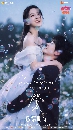 dvd �͡���� 2026 Never-Ending Summer Ĵ���͹���ѹ��� 6 dvd-��** �ҡ����